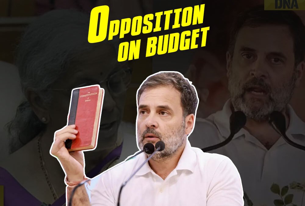 Opposition on Budget | Rahul Gandhi